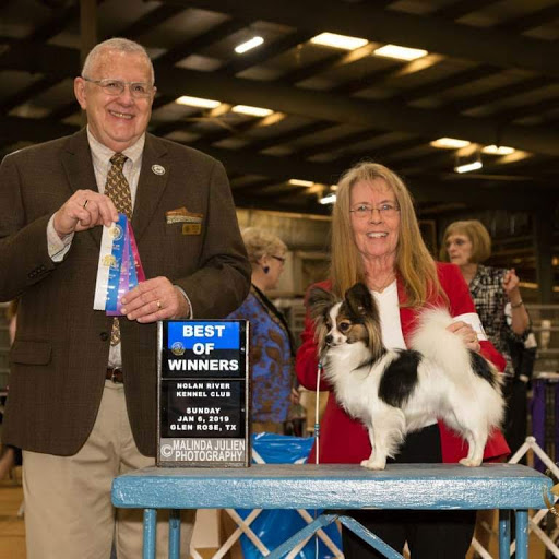 "Windy" RockDen Riding a Dangerous Wind